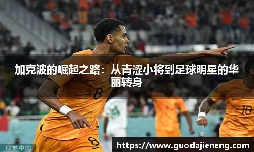 抓饭直播抓饭直播加克波的崛起之路：从青涩小将到足球明星的华丽转身